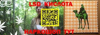 ГАЛЛЮЦИНОГЕННЫЕ ГРИБЫ Кулебаки