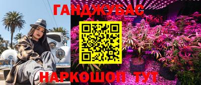 ГАЛЛЮЦИНОГЕННЫЕ ГРИБЫ Кулебаки