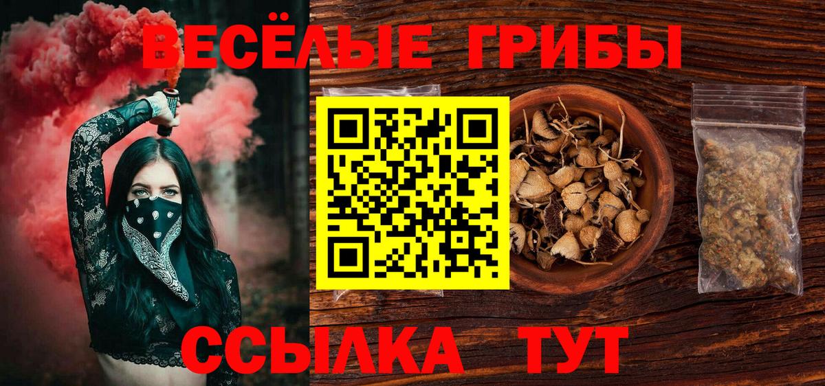 Ейск  купить наркоту  Вход с VPN  Галлюциногенные грибы прущие грибы 